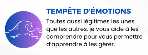 Toutes aussi légitimes les unes que les autres, je vous aide à les comprendre pour vous permettre d'apprendre à les gérer.
